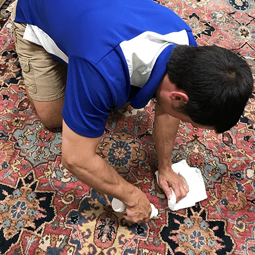 Détachage de tapis : traitement ciblé d’une tache localisée, au chiffon, sur un tapis fait main
