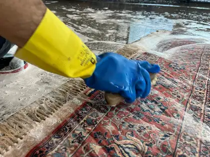 Tapis persan lavé à la brosse douce après un dégât des eaux, franges savonnées