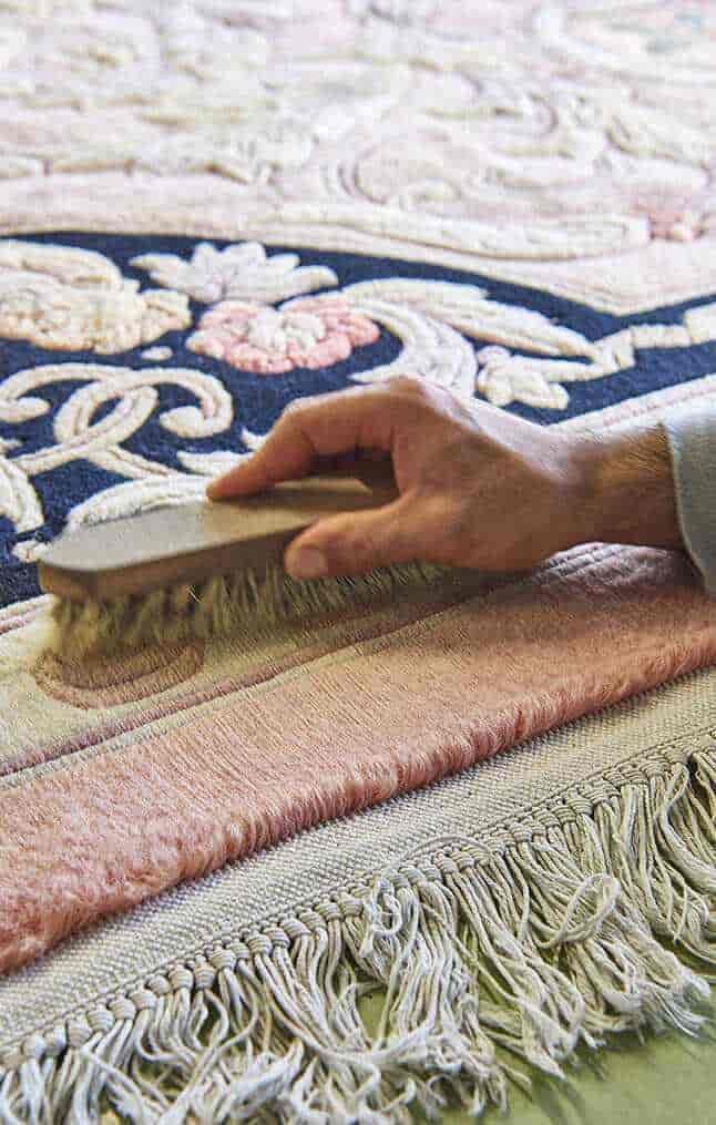 Zone d'un tapis mangée par les mites