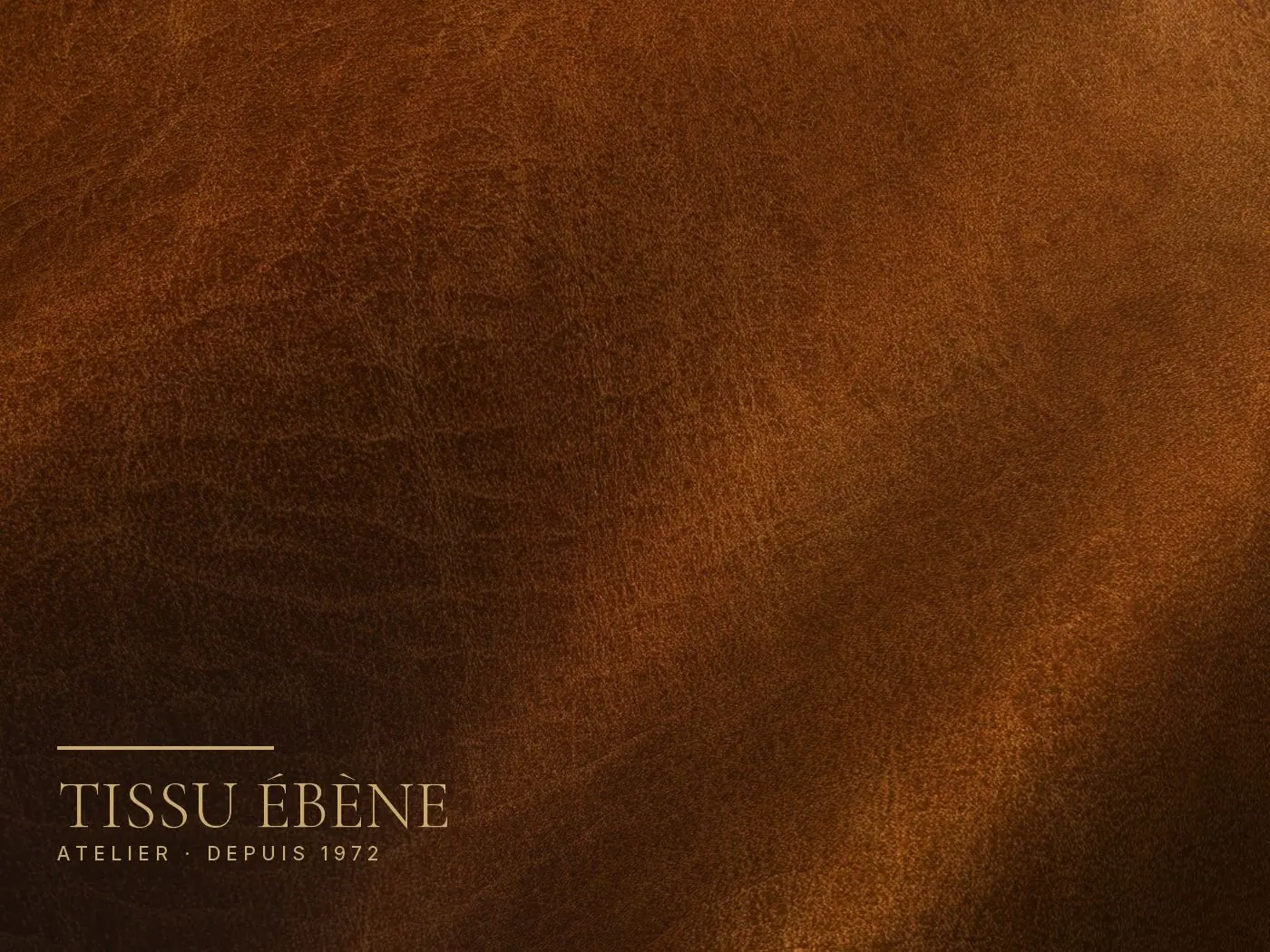 Cuir lisse pleine fleur cognac