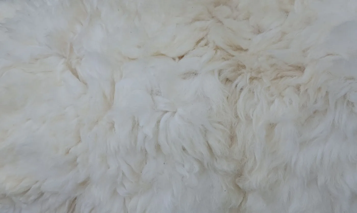 Ouate de finition posée sur une assise