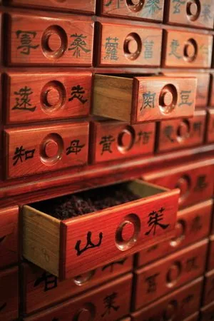 Coffre d'apothicaire asiatique laqué rouge